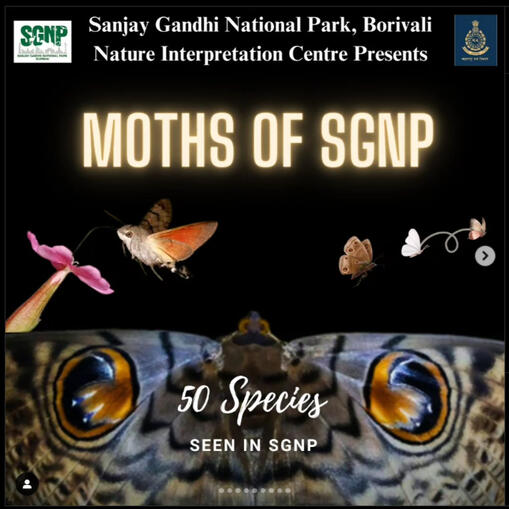 Moths of SGNP